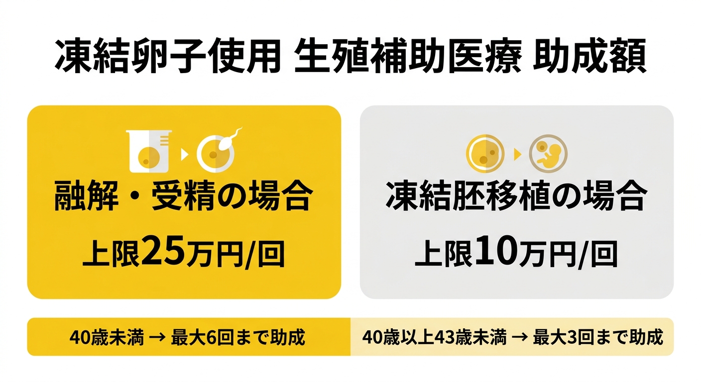 助成額インフォグラフィック