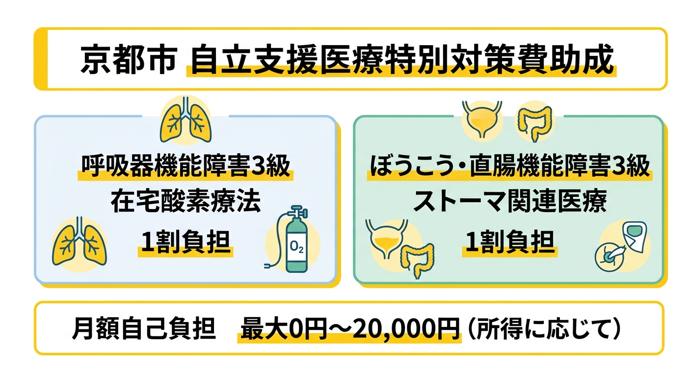 京都市自立支援医療特別対策事業 対象医療概要図